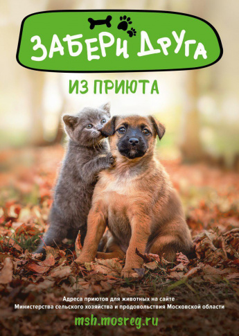 Министерство сельского хозяйства и продовольствия Московской области проводит разъяснительную и просветительскую работу с гражданами о возможности передачи собак и кошек из приюта новым владельцам.