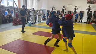 Во Дворце спорта «Пушкино» прошёл турнир по армейскому рукопашному бою