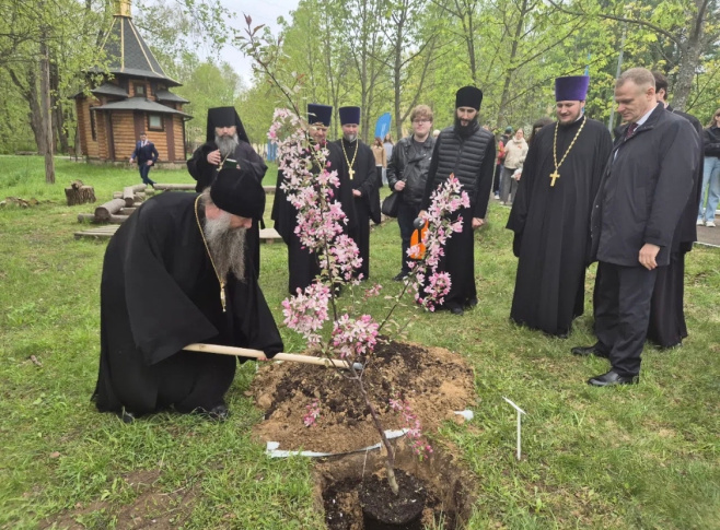 «За честь и за СВОих». В РГУТИС высалили 12 яблонь в рамках патриотической акции 
