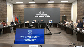  В Пушкинском состоялось внеочередное заседание Совета депутатов