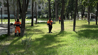 Идут по графику. Сотрудники Пушкинского городского хозяйства занимаются покосом травы