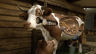 Экскурсию в музей молока и глазированного сырка провели для семей участников СВО