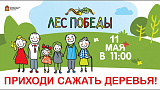 «Лес победы»
