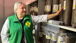 Студентам провели экскурсию по офису Российского центра защиты леса