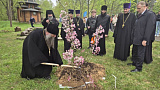 «За честь и за СВОих». В РГУТИС высалили 12 яблонь в рамках патриотической акции 