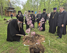 «За честь и за СВОих». В РГУТИС высалили 12 яблонь в рамках патриотической акции 