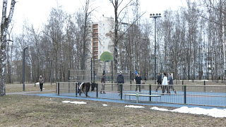 Ивантеевский парк – пространство, куда устремляются все жители округа