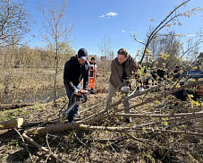 В округе Пушкинский прошёл общеобластной субботник