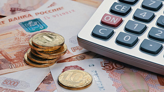 Светлана Байдакова о дополнительном пособии по безработице