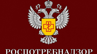 Роспотребнадзор запустил горячую линию по качеству школьных товаров