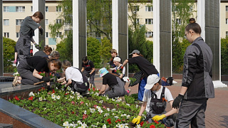 5 000 петуний в форме георгиевской ленты. Студенты озеленили клумбу у «Скорбящей матери» 