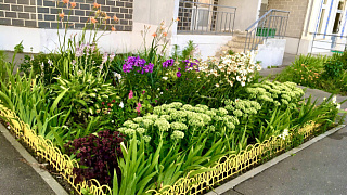 Аипова: на звание «Лучший сад во дворе Подмосковья» претендуют и жители городского округа Пушкино
