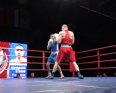 В округе Пушкинский прошёл Чемпионат Московской области по боксу среди мужчин