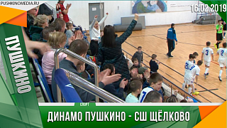 Динамо Пушкино - CШ Щёлково  Финал
