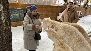 Пушкинские пенсионеры открыли для себя новое пространство