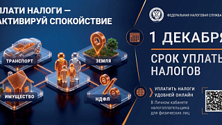 Федеральная налоговая служба России напоминает: срок уплаты налогов – не позднее 1 декабря 2026 года