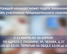 В округе Пушкинский стартовало предварительное голосование по кандидатурам для последующего выдвижения от партии «Единая Россия»