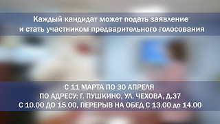 В округе Пушкинский стартовало предварительное голосование по кандидатурам для последующего выдвижения от партии «Единая Россия»